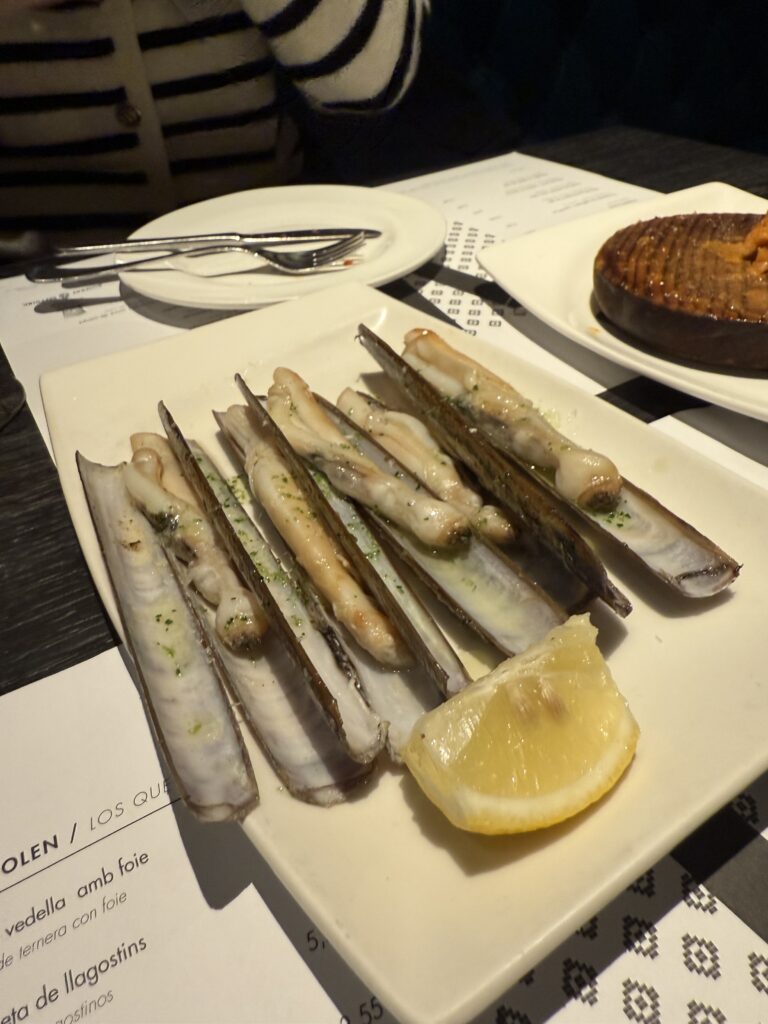 스페인 바르셀로나 카탈루냐 광장 근처 11