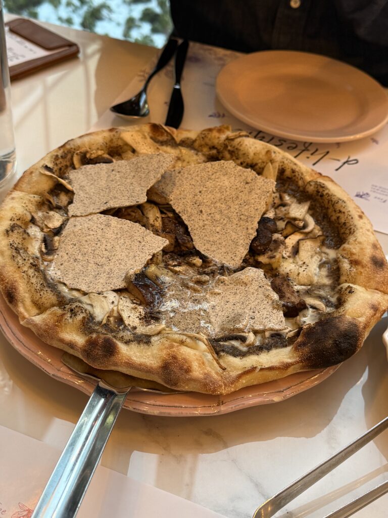 서울 강서구 미슐랭 2스타 출신 셰프의 양식 맛집 10