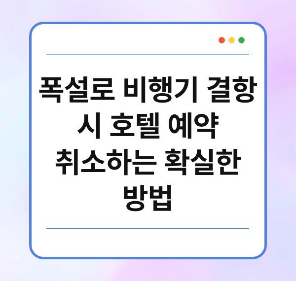 폭설로 비행기 결항 시 호텔 예약 취소하는 확실한 방법
