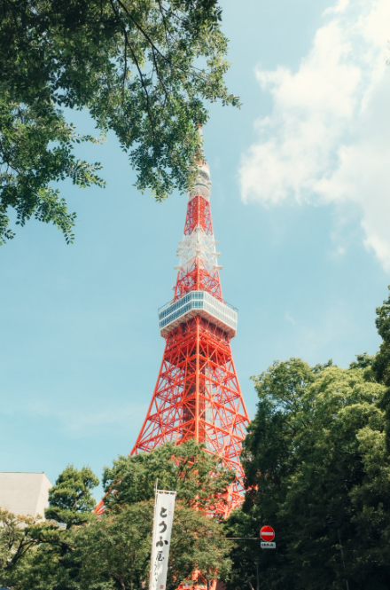 도쿄 타워 뷰 명소 총정리