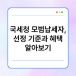 국세청 모범납세자, 선정 기준과 혜택 알아보기 28