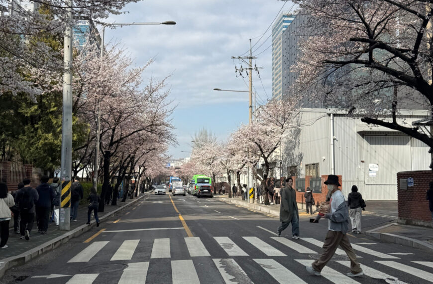 벚꽃은 피고, 주식은 떨어지고… 비트코인만 오른 이유 (미국 연금 호재?) 22