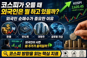 비상금은 얼마를 모아야 할까? 월급보다 ‘생활비’를 기준으로 계산해야 하는 이유 43